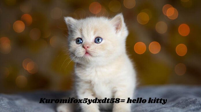 Kuromifox5ydxdt58= hello kitty